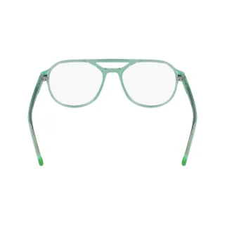Pure Eyeglasses P-6004