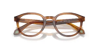 Giorgio Armani Eyeglasses AR7248