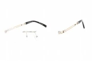 C02 Shiny Silver/Gold