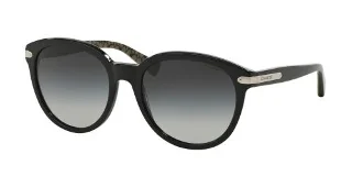 Coach Sunglasses HC8140