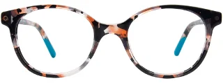 Easyclip Eyeglasses EC693
