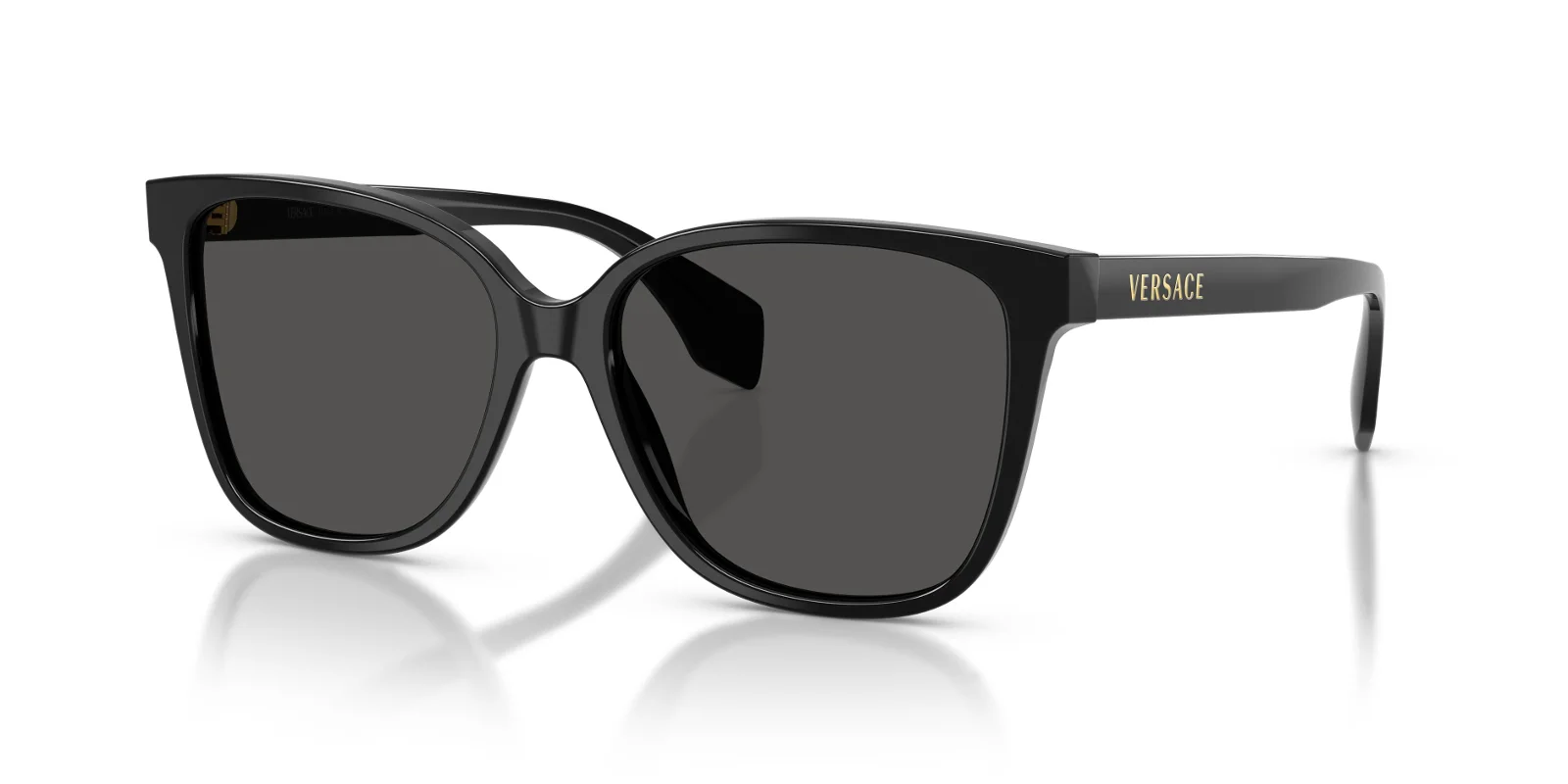 Versace Sunglasses VE4523F
