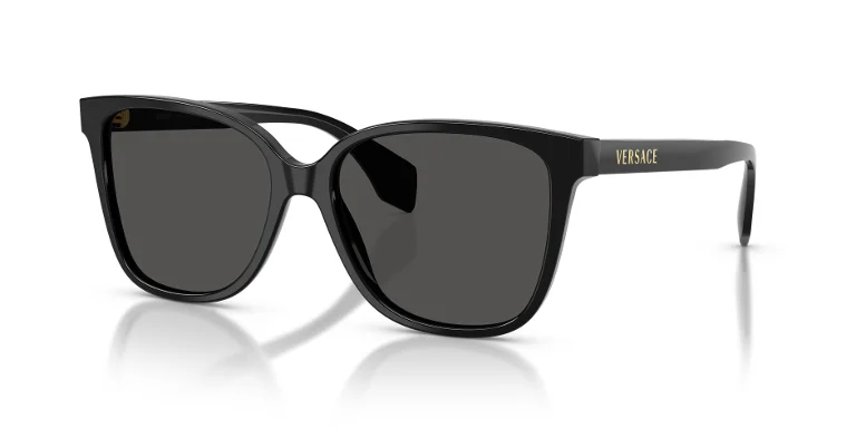 Versace Sunglasses VE4523F
