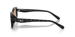 Coach Sunglasses HC8444D