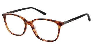 C01 Tortoise/Black