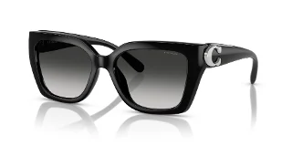 Coach Sunglasses HC8408F