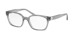3299 Grey Transparent