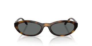 Vogue Sunglasses VO5697SU