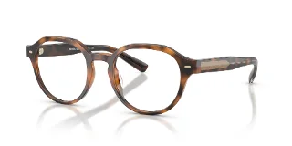 6161 Warm Tortoise