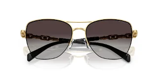 Michael Kors Sunglasses MK1163