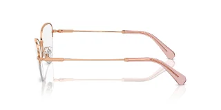 Swarovski Eyeglasses SK1010