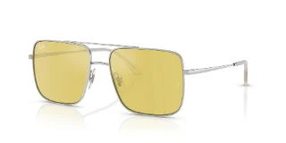 003/6D Silver