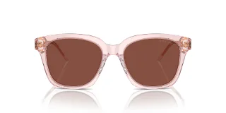 Giorgio Armani Sunglasses AR8210U