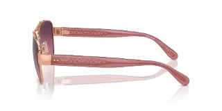 Coach Sunglasses HC7161