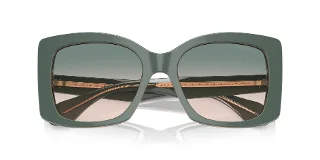 Giorgio Armani Sunglasses AR8208U