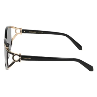 Salvatore Ferragamo Sunglasses SF2111S