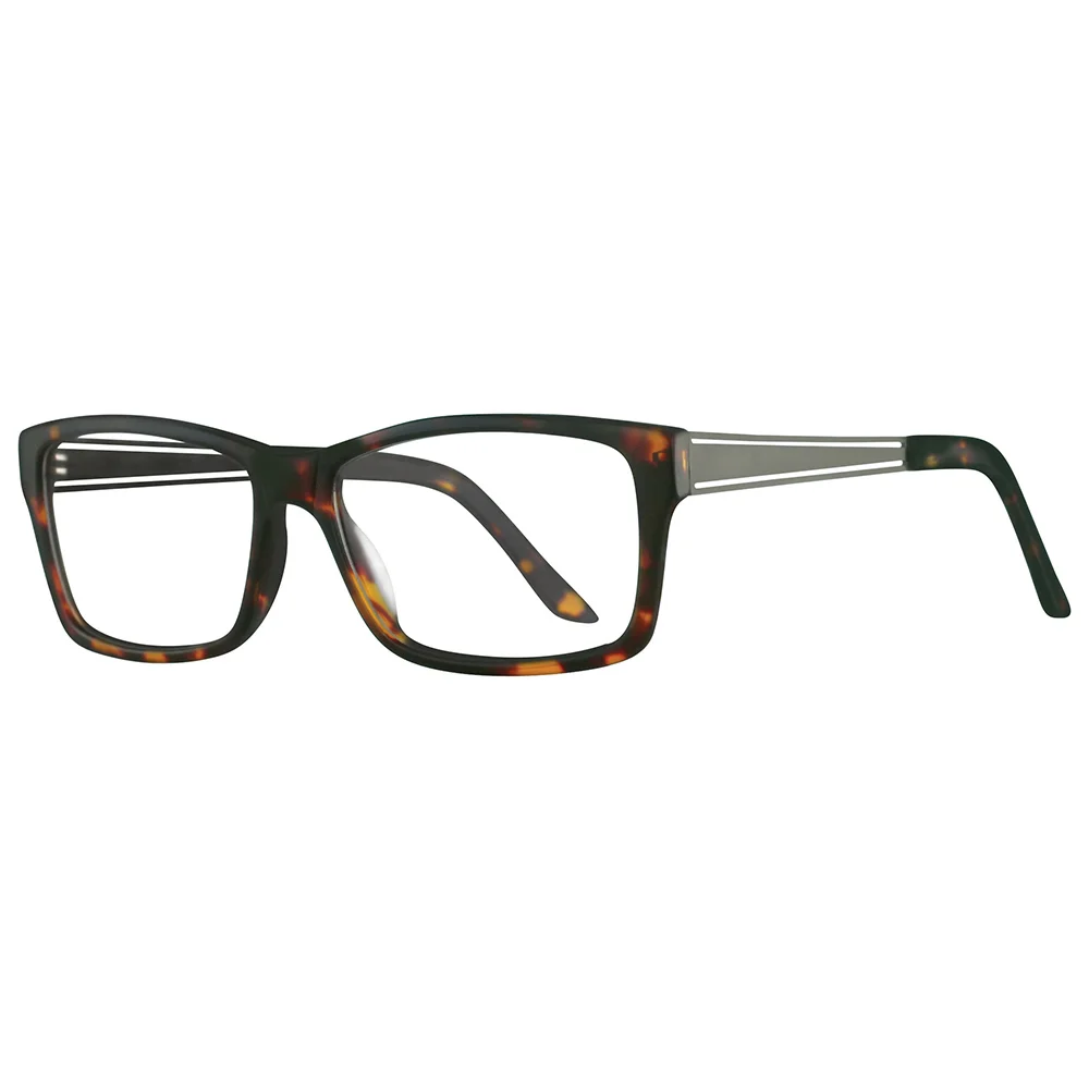 Apollo Eyeglasses AP172
