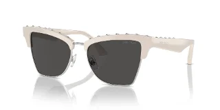 500887 White/Silver