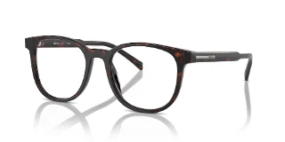 17N1O1 Radica Tortoise