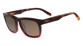 Salvatore Ferragamo Sunglasses SF789S