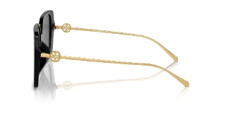 Tory Burch Sunglasses TY7205D