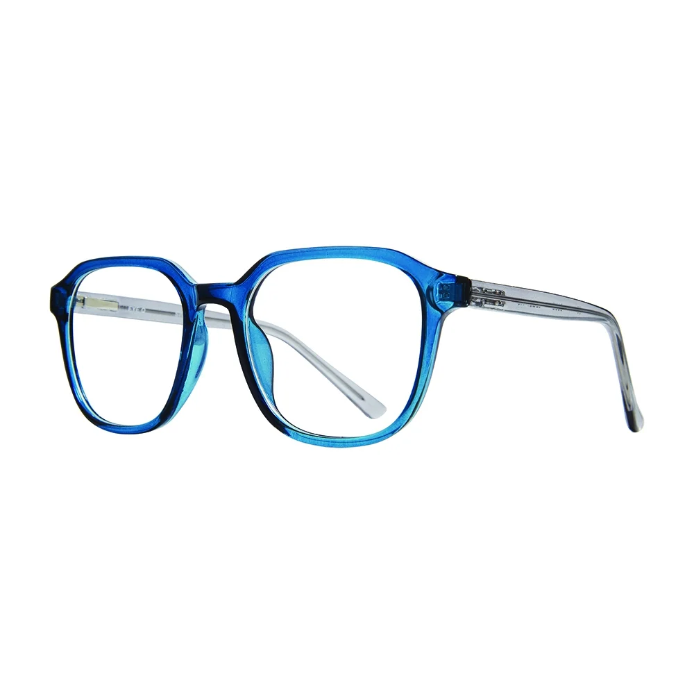 Stylewise Eyeglasses SW346