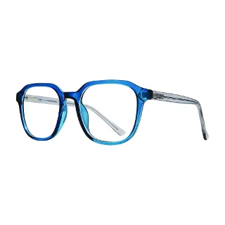 Stylewise Eyeglasses SW346