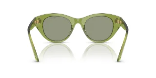 Swarovski Sunglasses SK6025