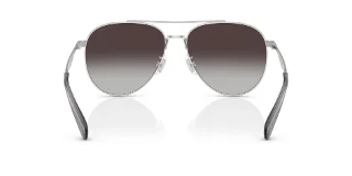 Coach Sunglasses HC7169