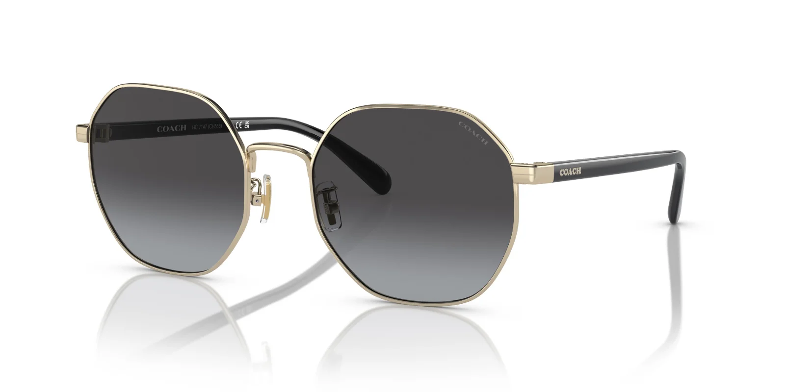 Coach Sunglasses HC7147