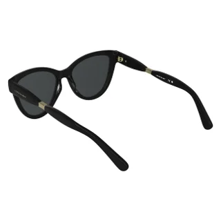 Longchamp Sunglasses LO804S