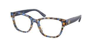 1904 Blue Tortoise