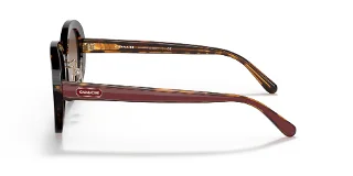 Coach Sunglasses HC8337F