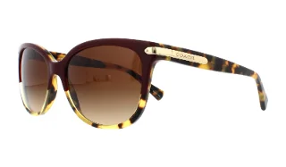 543713 Burgundy Tortoise/Tortoise