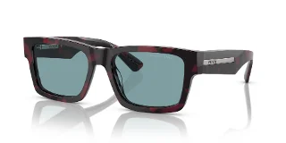 18I04D Purple Tortoise