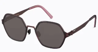 41 Raisin W/ Plum