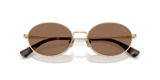 Polo Sunglasses PH3162