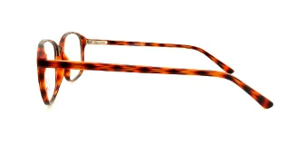 Fundamentals Eyeglasses F021