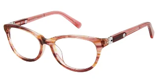 C01 Brown Horn
