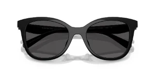 Coach Sunglasses HC8419U