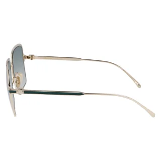 Salvatore Ferragamo Sunglasses SF317S