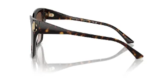 Jimmy Choo Sunglasses JC5012F