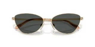Ralph Lauren Sunglasses RL7093