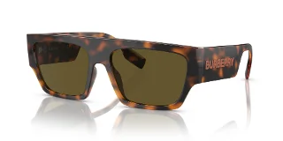 300273 Dark Havana