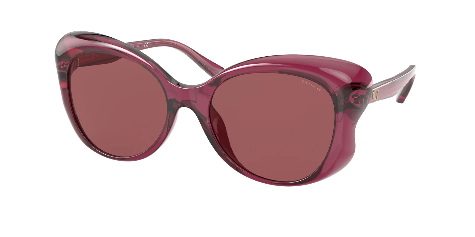 Coach Sunglasses HC8307U
