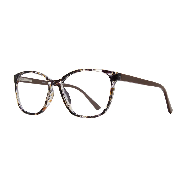 Stylewise Eyeglasses SW463