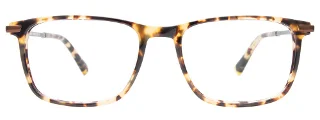 Easyclip Eyeglasses EC595