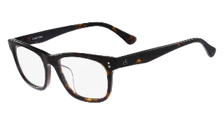 214 Tortoise