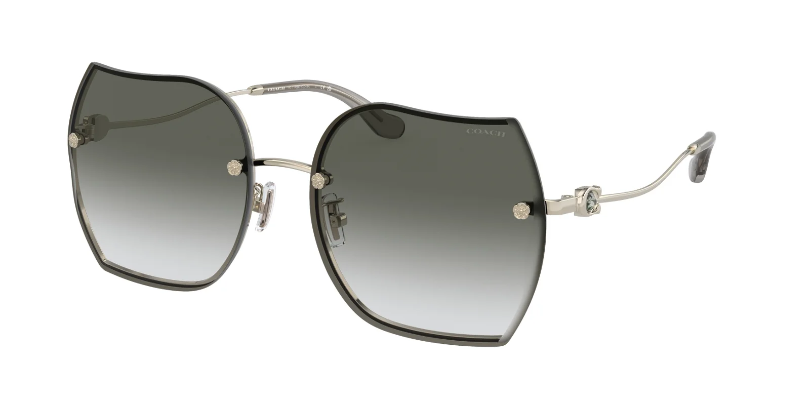Coach Sunglasses HC7146BD