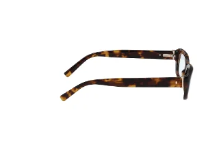 Abercrombie & Fitch Eyeglasses AF50026
